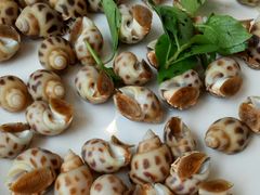 -海大大蒸汽海鲜餐厅·粤菜·特色小炒(欢乐颂店)
