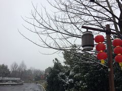 -中影国际影城(西溪印象城CINITYLED店)