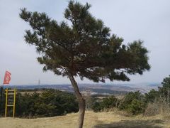 -高尔山公园