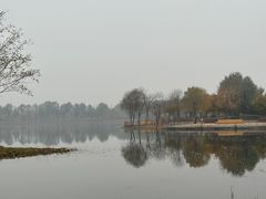 -东郊湿地公园
