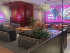 -老板恋上鱼(恒隆广场店)