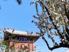 -潭柘寺景区