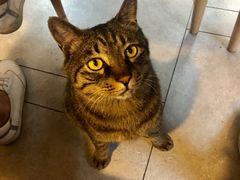 -螺大蛳柳州螺蛳粉·火锅·热干面(西城永捷店)