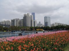 -海心沙亚运公园