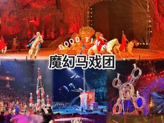 -广州长隆国际大马戏