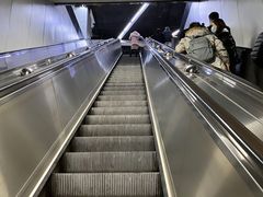 -东方体育中心(地铁站)