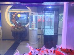 -秦美花卉(天朗·莱茵小城2期店)