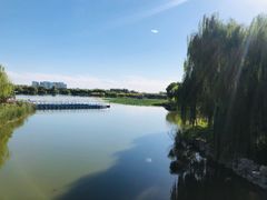 -大兴滨河森林公园