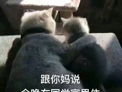 -傣妹火锅(荔湾广场店)
