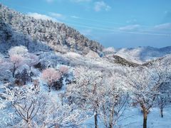 -四明山国家森林公园