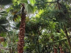 -呀路古热带植物园