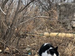 -抱犊寨风景区