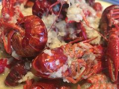 -杨氏青龙虾·羊蝎子(托乐嘉店)