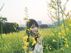-光明小镇欢乐田园