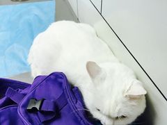 -康乐宝动物医院