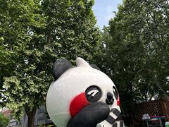 -西安电影制片厂