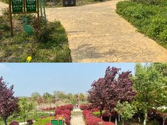 -泗洪洪泽湖湿地景区