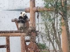 -无锡动物园·太湖欢乐园