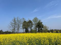 -中国天府农业博览园