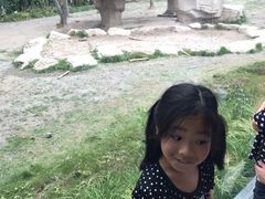 -上海野生动物园老虎餐厅