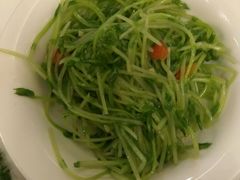 豆苗-火宫殿(五一大道分店)