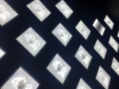 -MOJO密室逃脱(中街旗舰店)