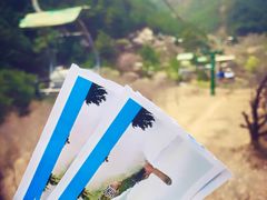 -磬锤峰森林公园