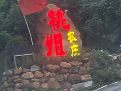 门面-桃姐农庄老字号(从化温泉店)