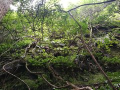 -夏霖九天银瀑风景区