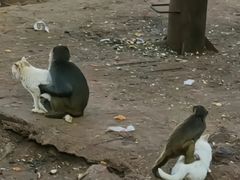 -昆明动物园