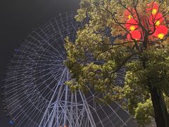 -南昌之星摩天轮