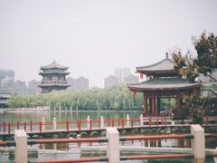 -小放牛炒菜馆(裕华万达店)