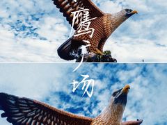 -巨鹰广场
