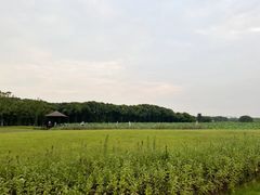 -梁鸿国家湿地公园