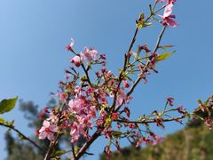 -小南山公园