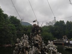 -合肥野生动物园