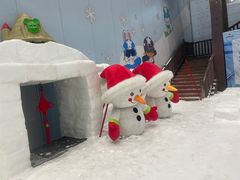 -哈尔滨热雪奇迹