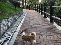 -四望岗公园