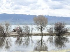 -青海湖国家重点风景名胜区