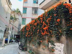 -黄埔古港