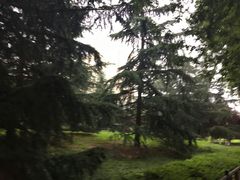 -陕西自然博物馆