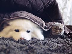 -赢吧Bliss音乐酒吧
