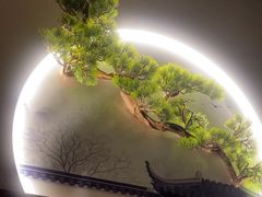 -耳域躺式采耳SPA馆(新街口店)
