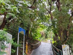-南丫岛