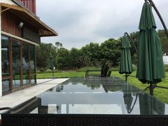 -七的湖·晚芳亭·阳澄湖农家菜·大闸蟹(莲花岛店)