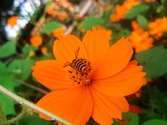 -白塘生态植物园