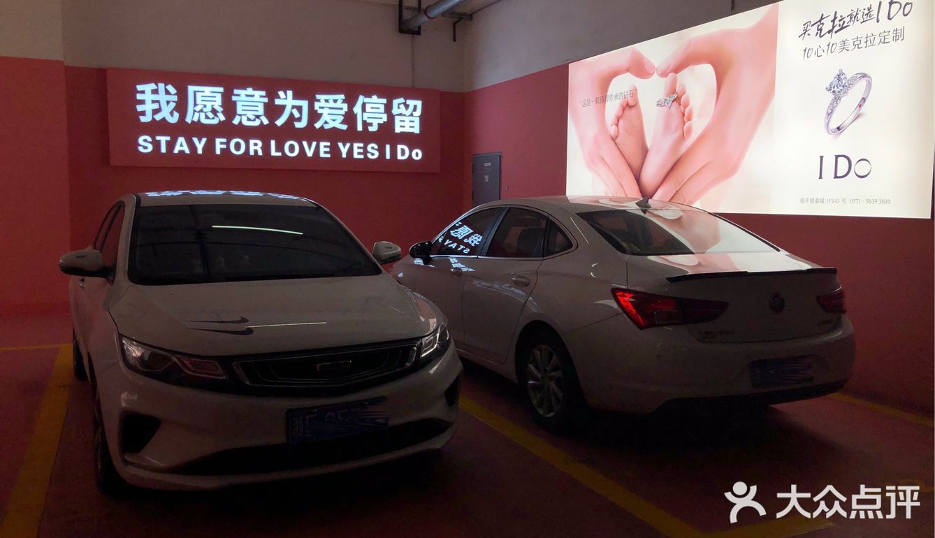 我愿意为爱停留