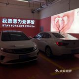 我愿意为爱停留