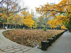 -四川大学(望江校区)