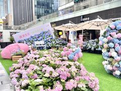 -HALO广场(梨园路店)